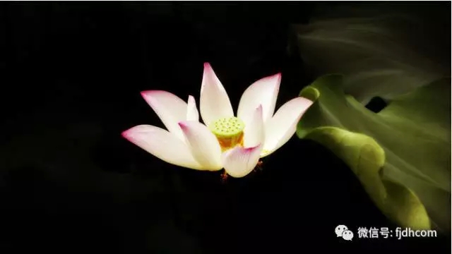 ��ô����������������ı��Լ���������