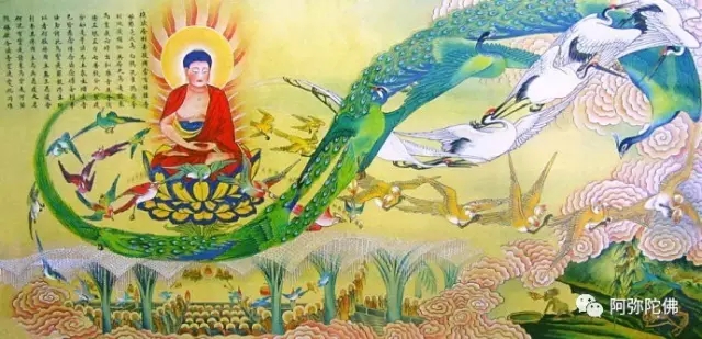 �Ӽ��ֻص��������󻹻������