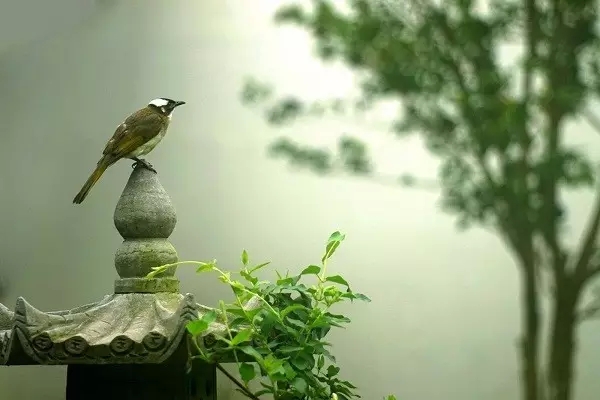 想不开是世间最大的苦 想不开是世间最大的苦