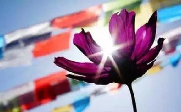 如何坚持正知正见? 如何坚持正知正见?