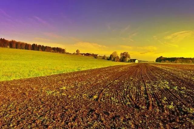 看世间:心与心的距离 看世间:心与心的距离