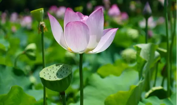 如何面对自己的恶? 如何面对自己的恶?