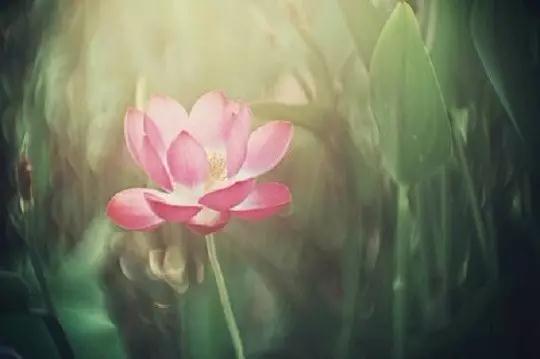 �����������ᶯ�ҵĸ�Դ