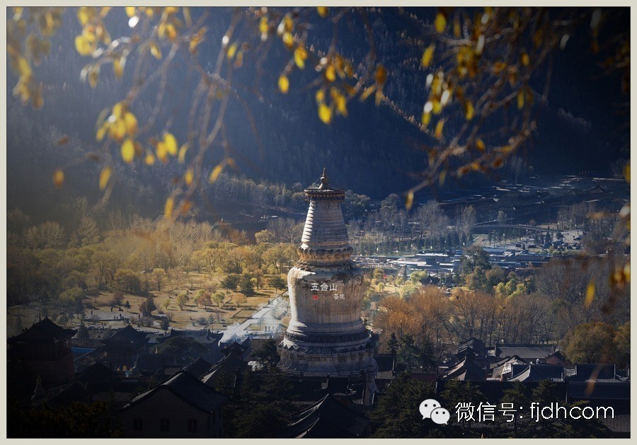 ��������������ؤ�����ξ��������Ϻ���