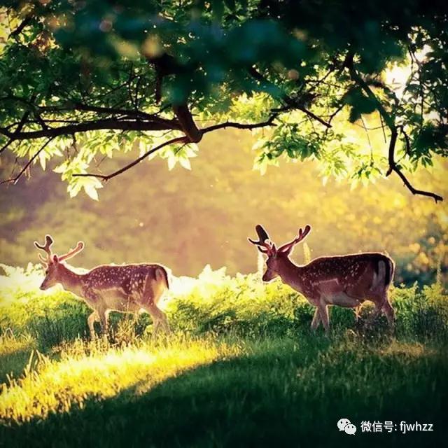 ����������塷���ȣ�������������ķ����У�