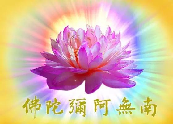 �뵱��ʦ�����