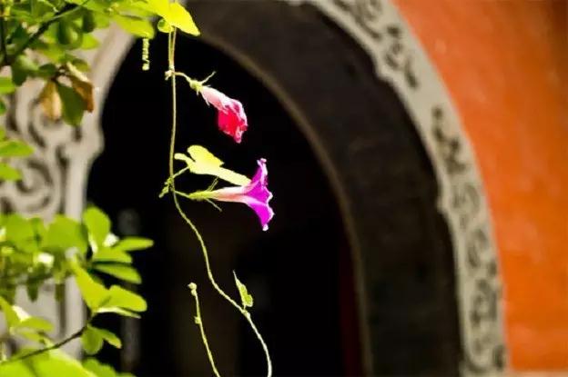 �ܶ������Ϊʲô�ò������ã�