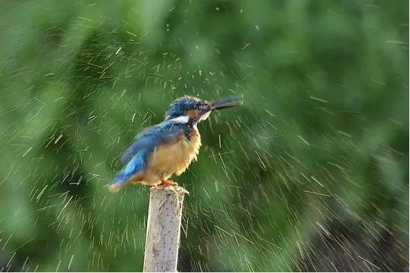 û���鷳�����鷳�����鷳̹Ȼ���