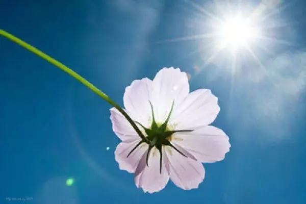 做好事为什么有人赞美有人诽谤? 做好事为什么有人赞美有人诽谤?