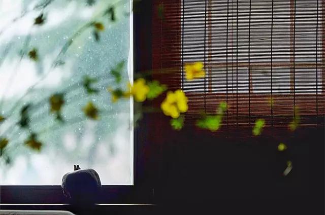 ������������������