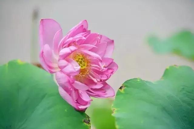 ��������������֮��