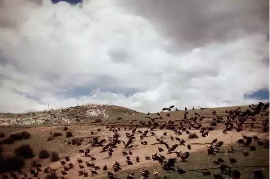 如何才能以平常心面对死亡? 如何才能以平常心面对死亡?