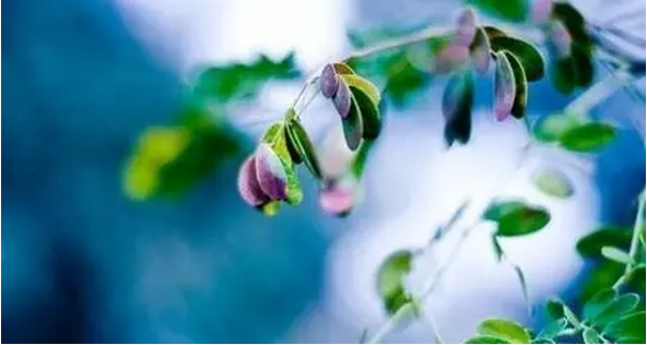 活着就要好好活——《做人的佛法》 活着就要好好活——《做人的佛法》