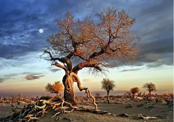 ����ܲ���ʵ��������ҵ������