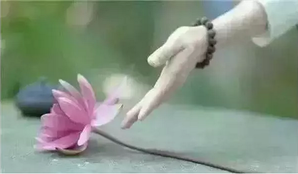 ��Ȼ����ô�ã�Ϊ���ŷ������ô�٣�