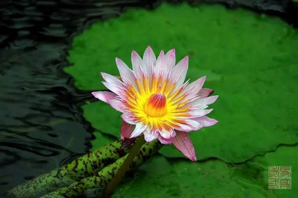 禅修天地:自己的住处 禅修天地:自己的住处