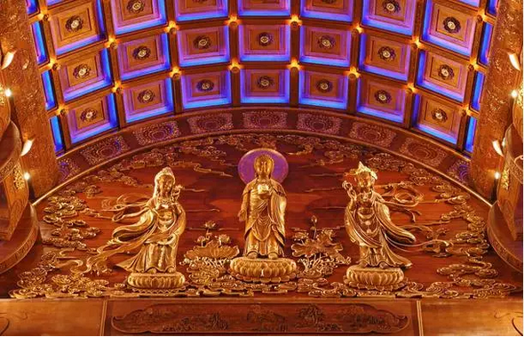 没有生存压力的极乐净土 没有生存压力的极乐净土