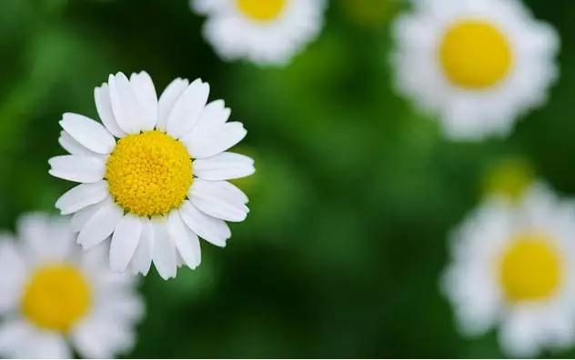 ��ϰ��������������