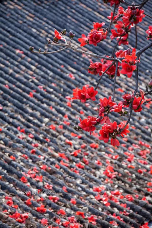 ���η���_��������_��������