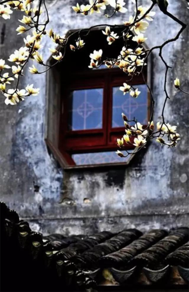 ���η���_��������_��������