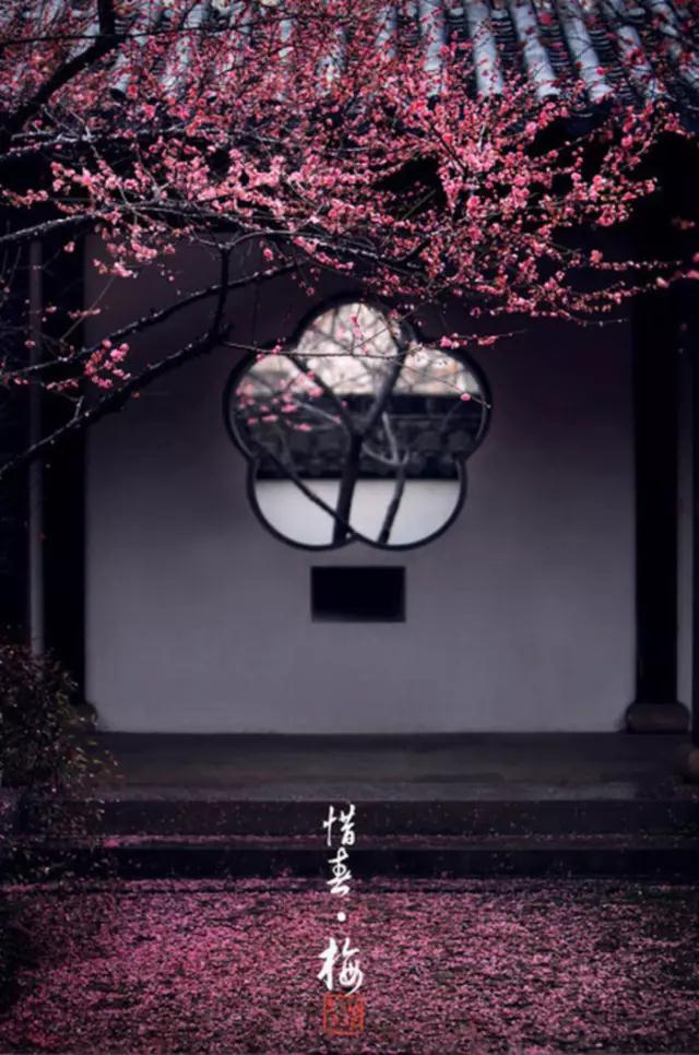 ���η���_��������_��������