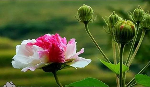 �Թ�����ʹ�࣬�������޷��ͻ�������ô�죿