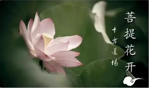 ����˱�������������