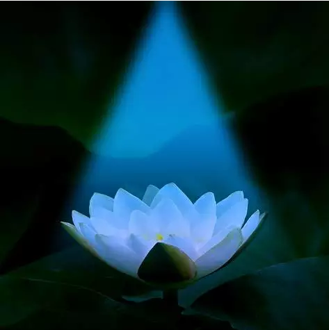 如何才能消除恶梦? 如何才能消除恶梦?