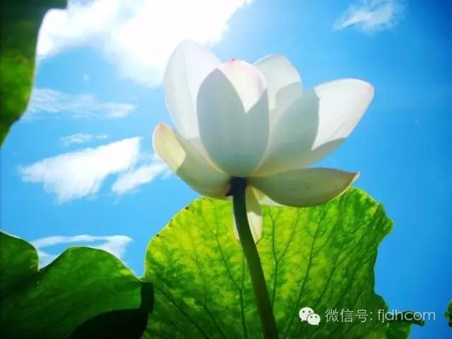 һ�����������ˣ������ͻ������