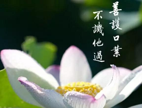 ������ΪʲôҪֹ�����