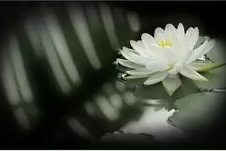 ӡ���ʦ������һ����ʵ�ֻع���