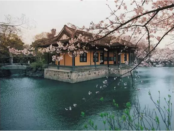 ���ҵ���Ĭ�����������ǻ�