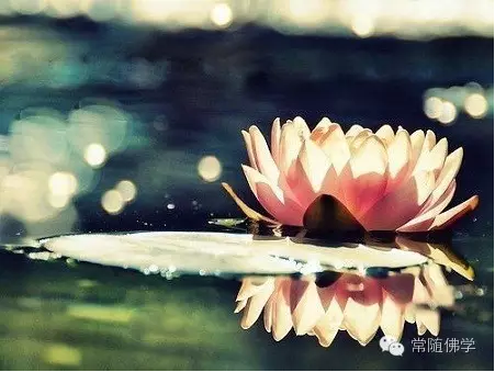 最损福报的几种行为_千万不要去做! 最损福报的几种行为_千万不要去做!