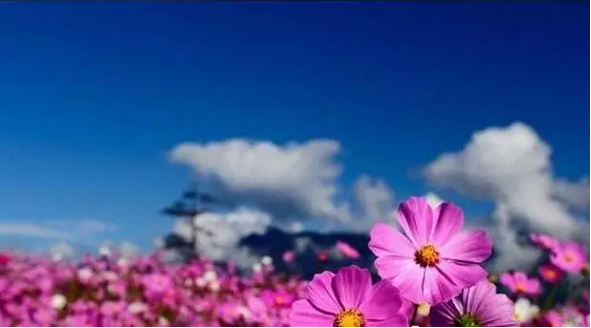 Ϊʲô���Ǽǲ���ǰ��֮�£�