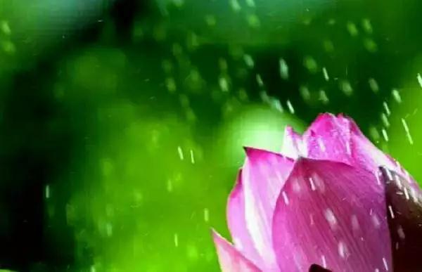 ���˼����ھ�����������ص��˺���