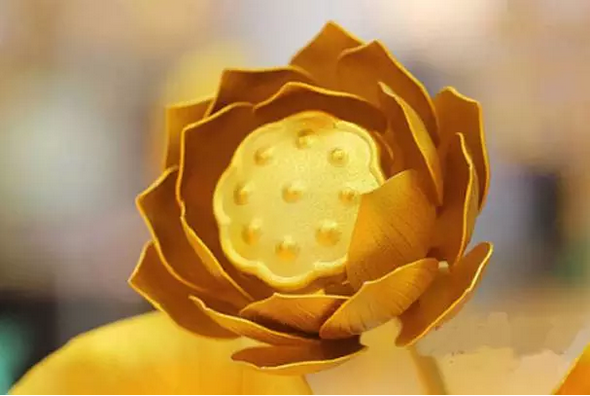 ����������и������ô�죿