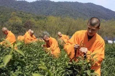 �Ƹ������Ͷ����ร�޻ۣ�