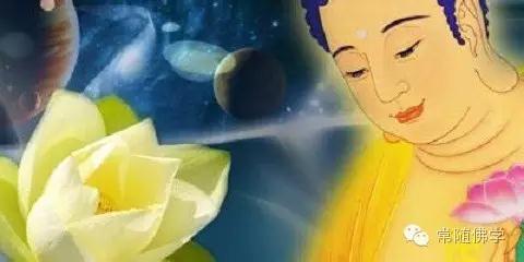 ����ӳֲ������������������