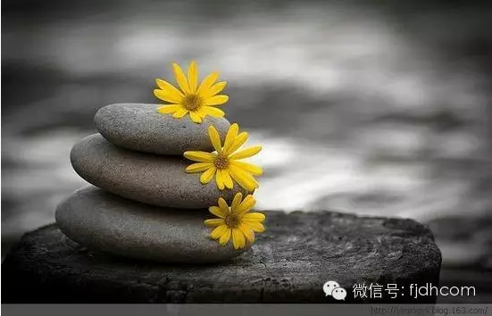 һ��һ���޷�ǰ����һ��һ�нԳ����֣�