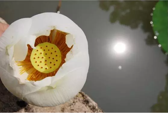 出现不好的念头,该怎么办? 出现不好的念头,该怎么办?