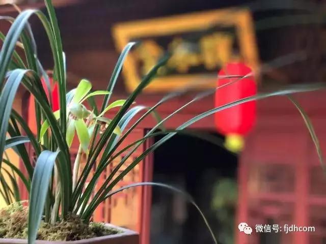 Сɳ�ִ��̫���������Ѵ���ݼ�������