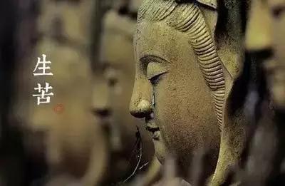 ������Щ���������Լ�����ʶ����