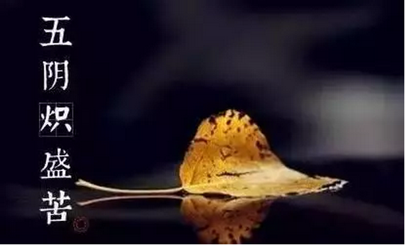 ������Щ���������Լ�����ʶ����