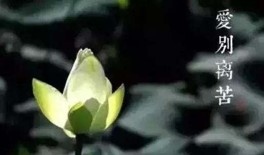 ������Щ���������Լ�����ʶ����