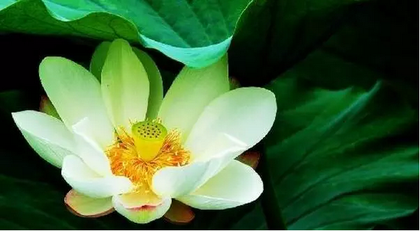 �±�������Ҫ����?_�����ף�