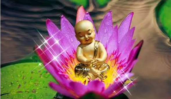 为什么信佛好多年_还没有什么成就? 为什么信佛好多年_还没有什么成就?