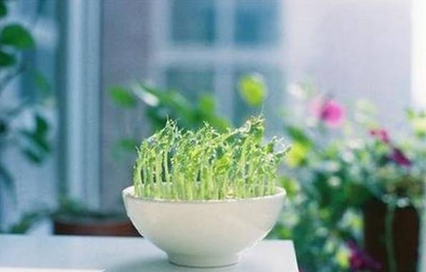 ��������ܶ�ʱ���˷����г�����