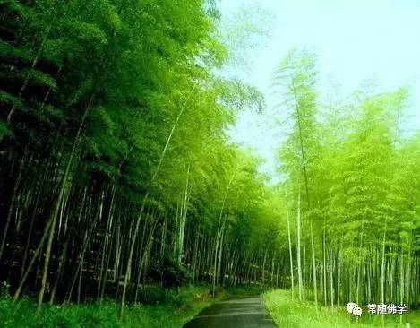 不同思维,决定了不同的人生 不同思维,决定了不同的人生