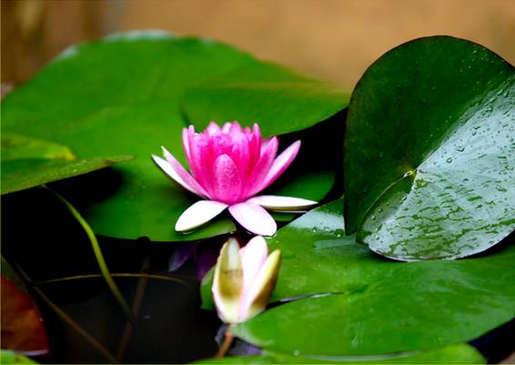 �����㣺���ʱ�������ã�