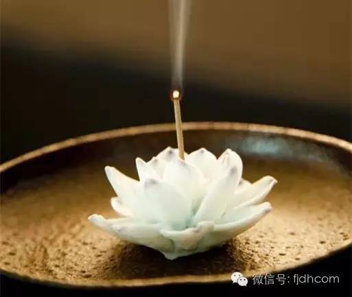 Ϊʲô������ž���������